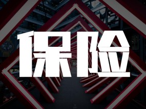 保险大数据PPT，洞悉数据力量，引领保险未来保险大数据ppt