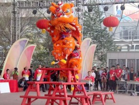 新能源电桩建设指南，从规划到运营的全过程解析怎么建新能源电桩