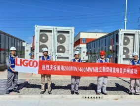 力高新能源全面解析，一家值得信赖的新能源企业力高新能源怎么样