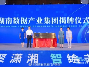 湖南大数据产业发展公司，引领数字化转型的新力量湖南大数据产业发展公司