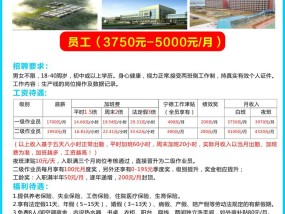 振华国际新能源招聘启事，共创绿色未来振华国际新能源招聘