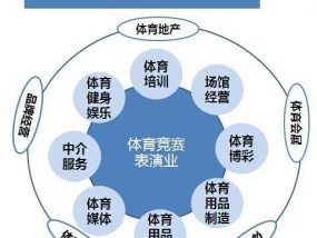 北京体育运营单位的现状、挑战与未来发展