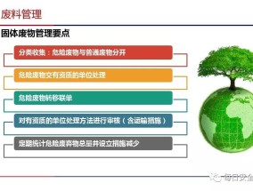 全员培训体育文本总结，提升团队凝聚力与身体素质的双赢策略