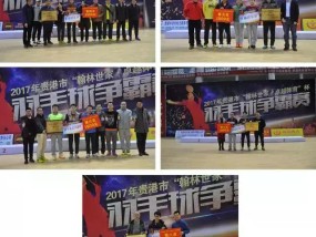 体育表现突出的评价，从个体到团队的卓越之路