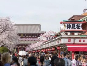 日本东京房产区地图概览日本东京房产区地图