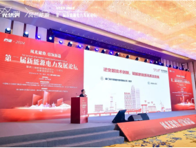 肇庆品质新能源供应，引领绿色发展的先锋力量肇庆品质新能源供应