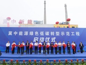 河南中能新能源，引领清洁能源转型，塑造绿色未来河南中能新能源