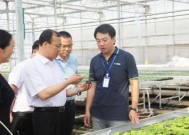 探索体育新大陆，未来运动趋势与创新科技的交汇