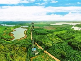 天津津南体育公园，城市绿洲与健康生活的完美结合