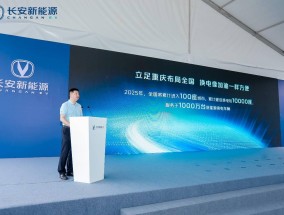 迈科新能源有限公司，引领新能源革命，塑造绿色未来迈科新能源有限公司